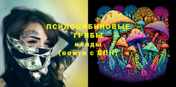 бошки Абаза