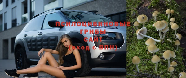 бошки Абаза